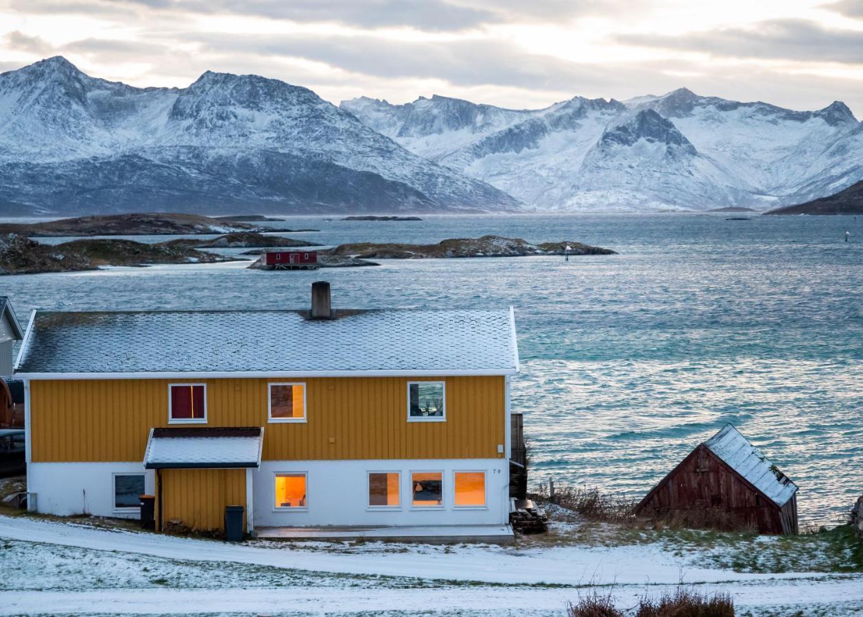 Sommaroya Beach Apartment Tromsø Eksteriør billede