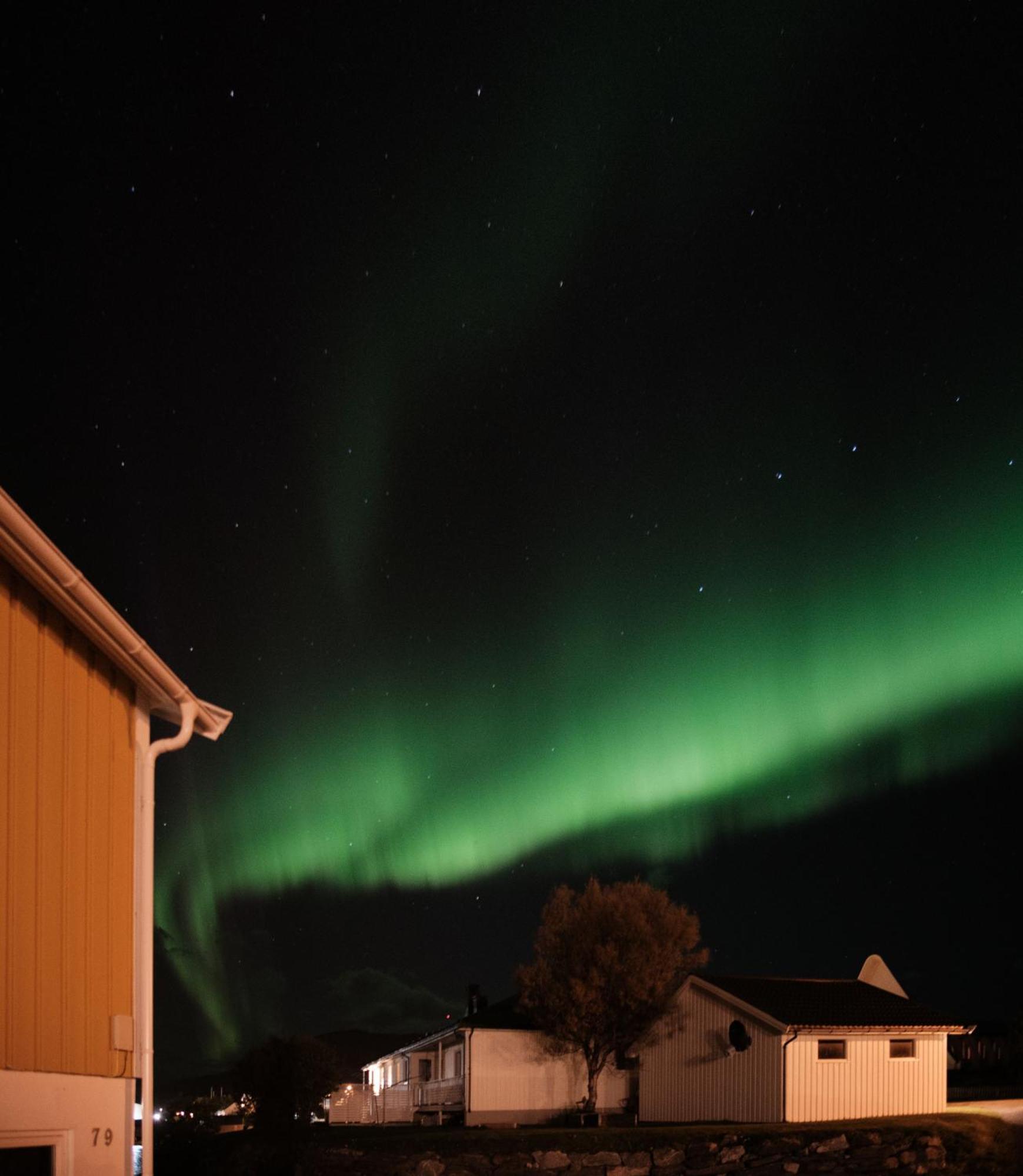 Sommaroya Beach Apartment Tromsø Eksteriør billede